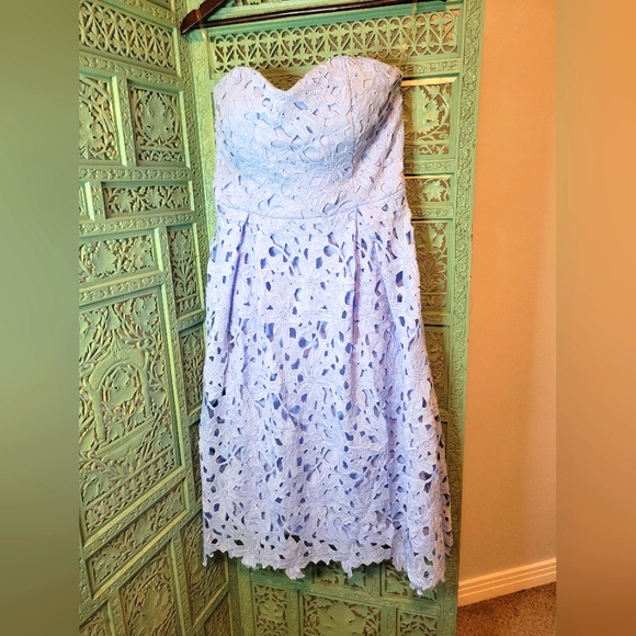 Francesca's Collections Dresses & Skirts - Francesca's - Blue Ayla Harpeth Lace / Eyelet Dress - Large